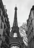 The Paris Attitude