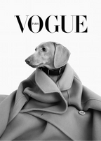 Chien de race Haute